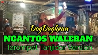 Download lagu TANJIDOR NGANTOS WALERAN // Ai' CUMI // RNESTA - Team DogDag // Live - WAROENG DK