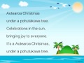 Aotearoa Christmas