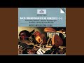 Miniature de la vidéo de la chanson Brandenburg Concerto No. 3 In G Major, Bwv 1048: I. (Allegro Moderato)