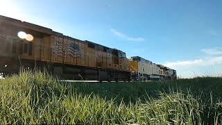 CSX Locomotive & 2 UP Locomotives with a lot of freight cars