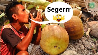 A quick way to peel and enjoy siwalan fruit or palm fruit in Huli Hamlet, Savu Island