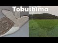 I visited Tokushima! pt.1 Japan's countryside [Eng cc]