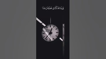 القارئ سعد الغامدي #quran
