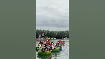 Nipa palm forest on cloudy day #hoiancity #hoiancountryside