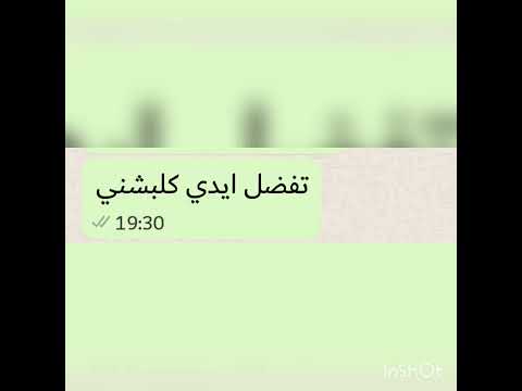 اغنية فاتشني ياباشة فتشني