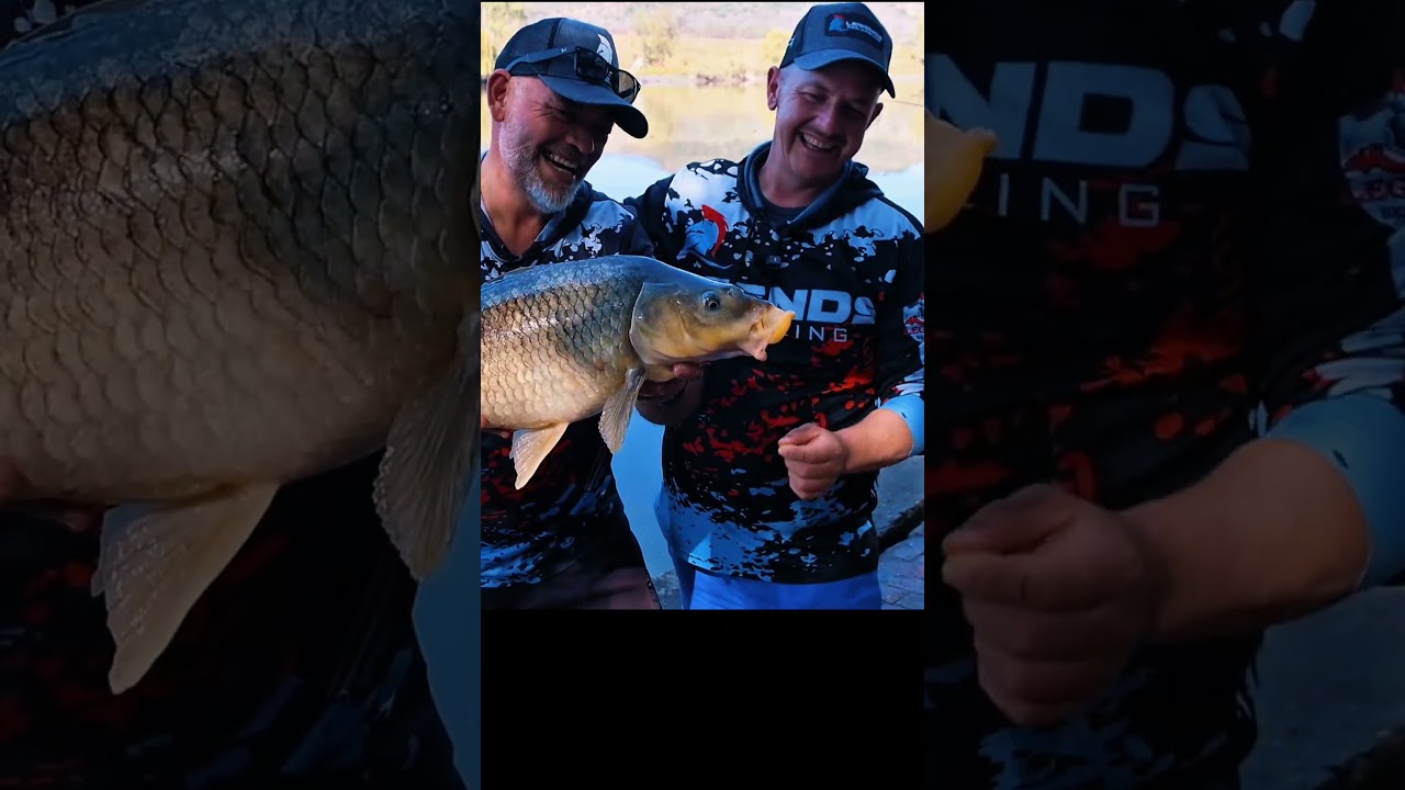 New Episode Now available #fishing #gofishi #carpfishing #carp #bankangling