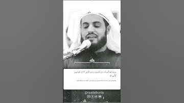 شيخ رعد الكردي حالات واتس اب | سورة: (الشورى: ٥٣)