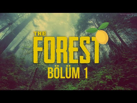 ELRAENN İLE THE FOREST w/LİMON TAYFA #1