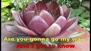 Lenny Kravitz - Are you gonna go my way -==Karaoke–Videoke  - Playback