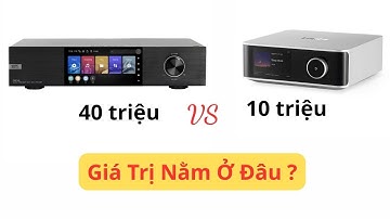 Wiim Ultra - Eversolo DMP A8 : Chất Lượng Đến Từ Đâu ?