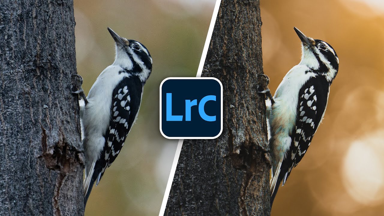 The Secret to GOLDEN Edits in Lightroom!