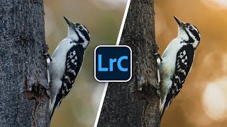 The Secret to GOLDEN Edits in Lightroom! screenshot 3