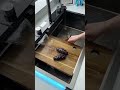 Product Link In Bio 2280 1 Honeycomb Digital Display Cup Rinser Prime FlowWaterfall Sink 