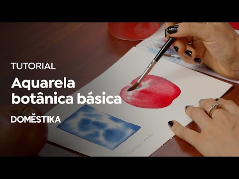 Nossas dicas para aprender a desenhar os animais!