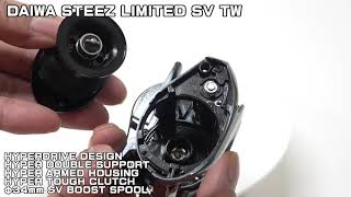 DAIWA 2020 STEEZ LIMITED SV TW  / PLAT