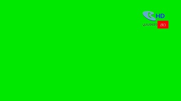 BOOMERANG LIVE SCREEN GLITCH GREEN SCREEN
