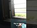 #bhaidooj #cricket #status #election #journey #vlogs #chathpuja #november #happiness #train #trend