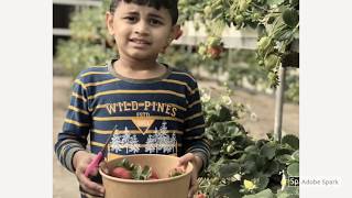 A farm visit / Albohayra farm kuwait - Supermom kuwait