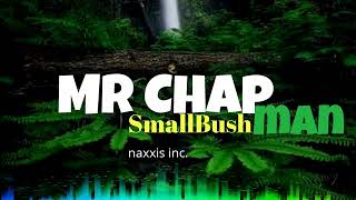 My Baby Oh - Smol Bushman ft. Mr Chapman (2021)
