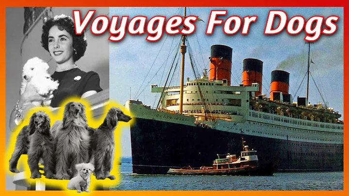 Dogs on Queen Mary Lived in Luxury!