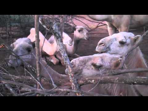 aidan quinn Burkitu, a spring of life - Oxfam America