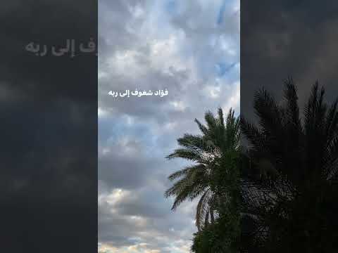 فـؤاد شغوف إلى ربه 
