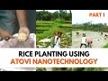 Rice Planting using Atovi Nanotechnology | Part 1