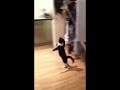 Funny Cat Walk Youtube Video