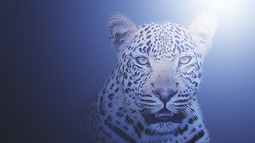 Dark Fantasy 2 Photoshop Effect | Adobe Photoshop Tutorial