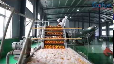 Agriculture Technology - Automatic Munti-function Citrus Juice Processing Plant