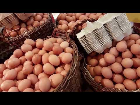 Are cage-free eggs