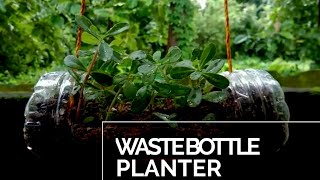 Waste plastic bottle planter || plastic bottle hanging