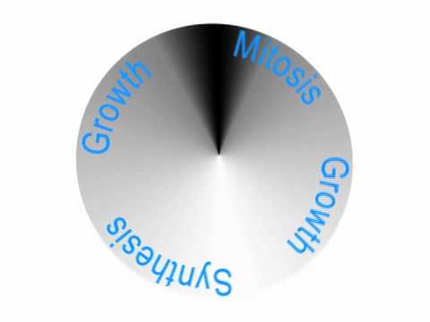Chromosome "Glue" Surprises Scientists