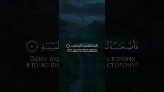 📹 Сура Аль-Вакиа Аяты 1-14 Чтец Саид Дубаха