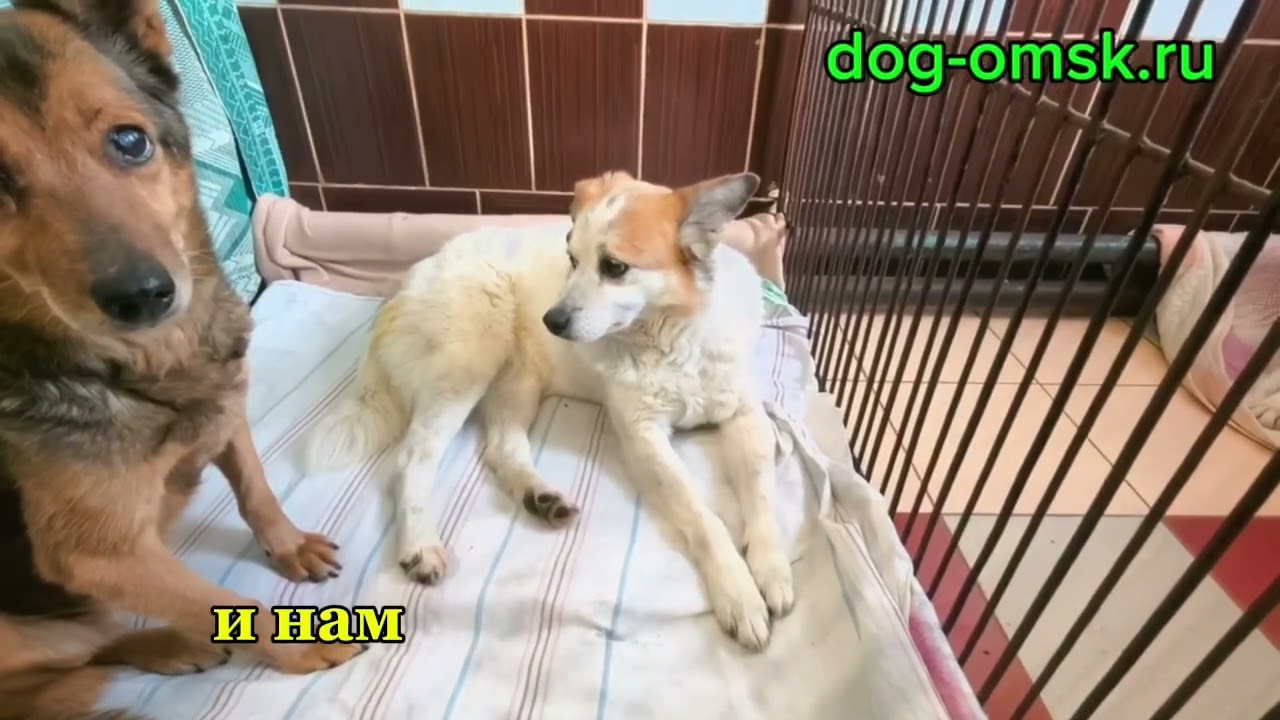 Итоги дня 24.01.2026