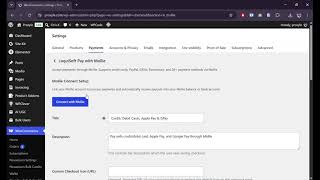 LoquiSoft Pay with Mollie: Complete WooCommerce Setup & Demo