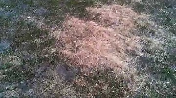 jjrc h6c quadrocopter flight