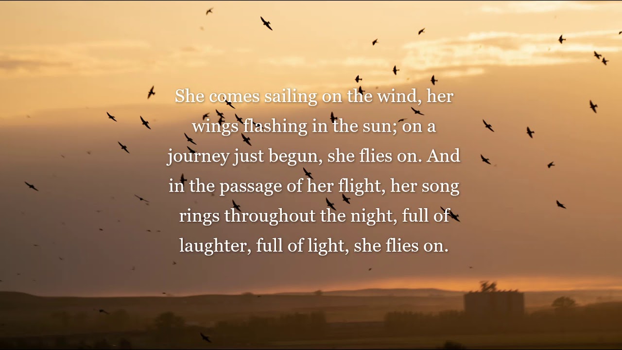 She Comes Sailing on the Wind YouTube