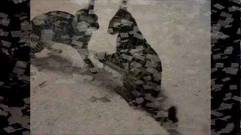 Video 11303661: savannah cat, funny cat playing