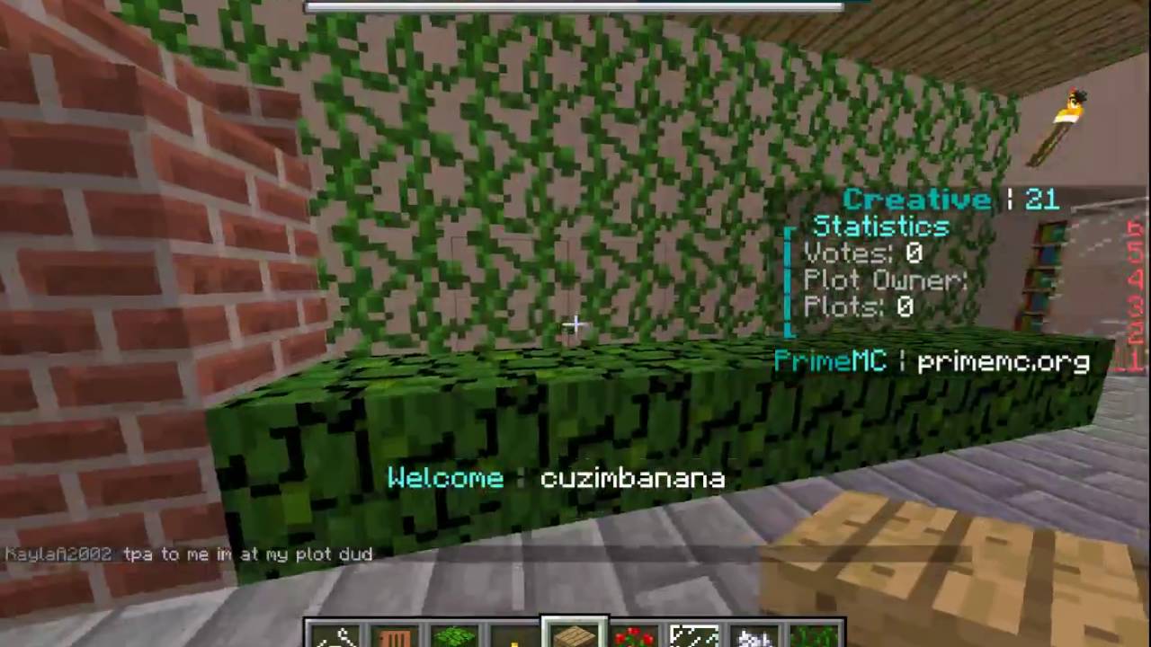 Finale av det første huset med electroplayz og mineplayminer