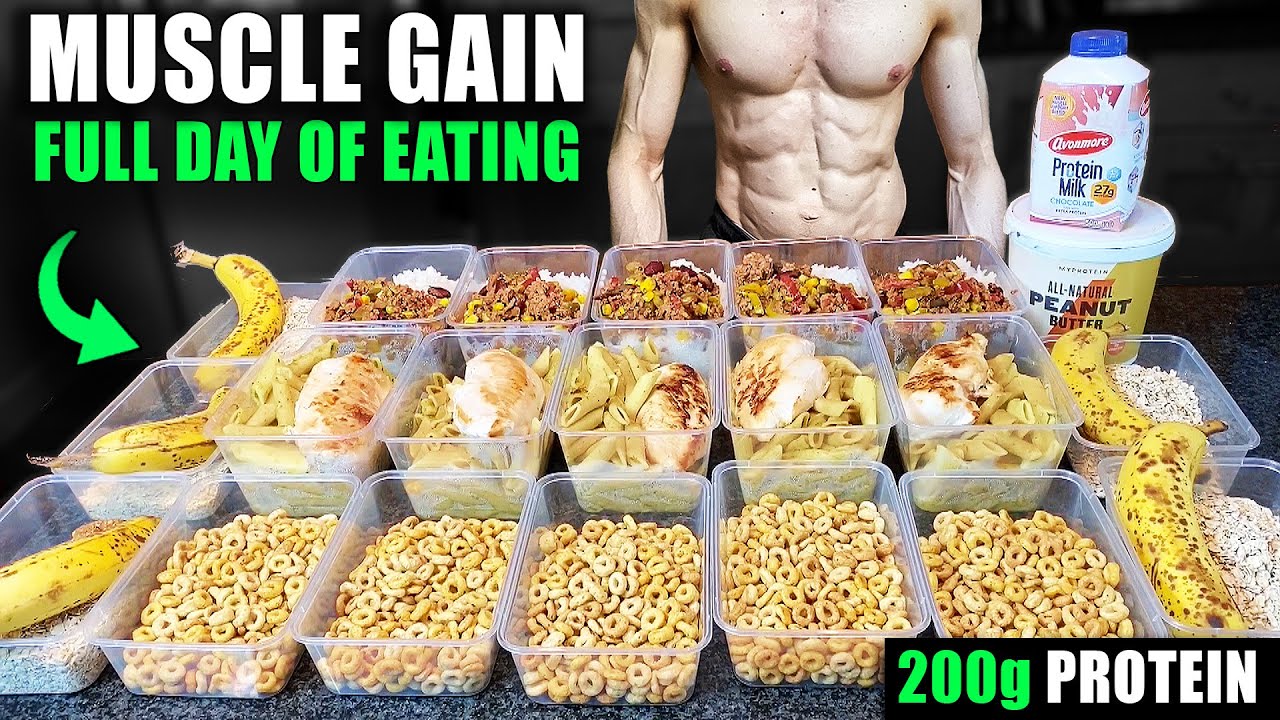 Easy MUSCLE GAIN Diet Plan For BUSY PEOPLE | Full Day of Eating To