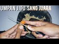 UMPAN JITU MANCING DI SUNGAI SEMUA IKAN SUNGAI