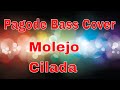 Molejo\ Cilada \Bass Cover