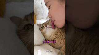 いたずら猫に復讐してみた screenshot 4