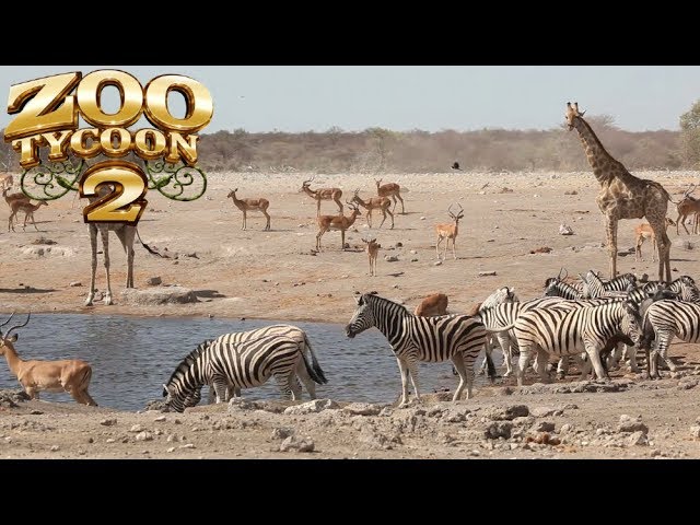 Zoo Tycoon 2 with African Adventure (Gameplay) 