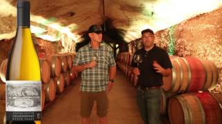 Buena Vista Winery -  2014 Eleanora's Chardonnay Winemaker Tasting Notes