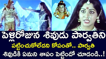 GODDESS PARVATI CURSED LORD SHIVA | SRISAILA BRAMARAMBIKA KATAKSHAM | NARASIMHA RAJU | V9 VIDEOS