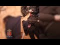 Жители Назарово совершили разбой в Тасеевском районе
