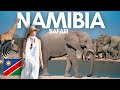 Best SAFARI in Namibia and why PRIVATE safaris are better!😁