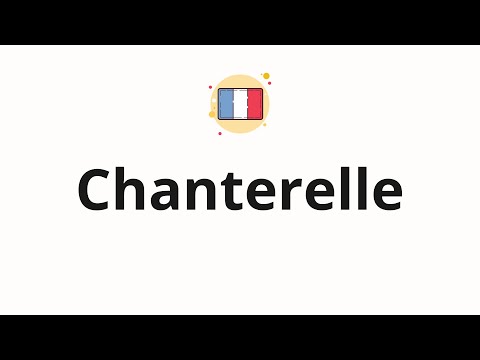 Video: Chanterelle è una parola francese?